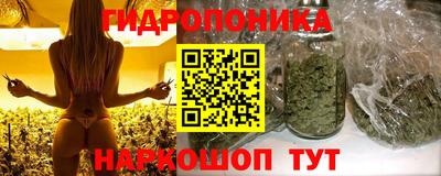 spice Аша