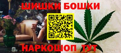 прущие грибы Ачхой-Мартан