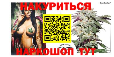 гашик Баксан