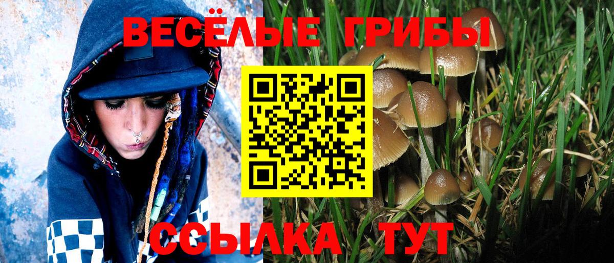 Галлюциногенные грибы MAGIC MUSHROOMS Барнаул